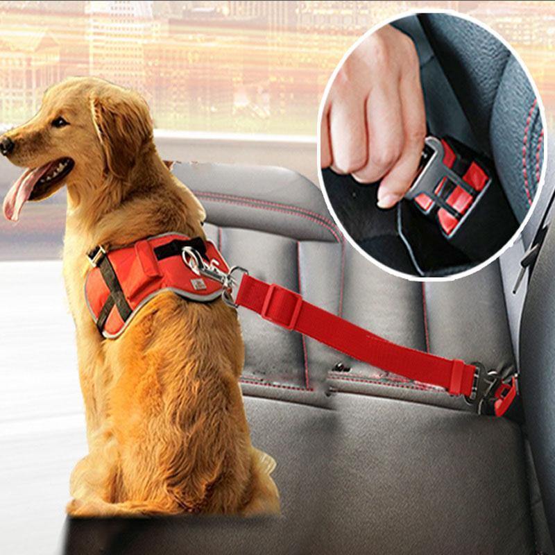חגורת בטיחות לכלב - Smart Shop IL