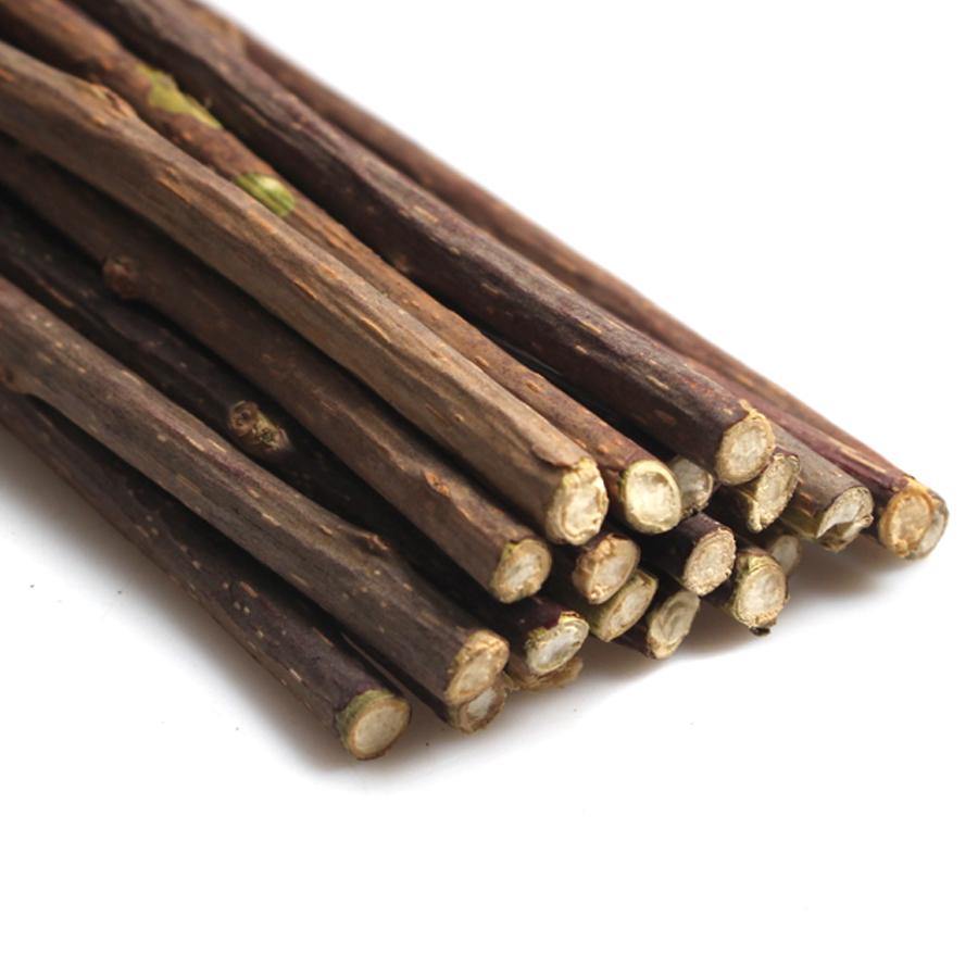 עשרים מקלות לעיסה בטעם מנטה לחתול - SiliCoverstore