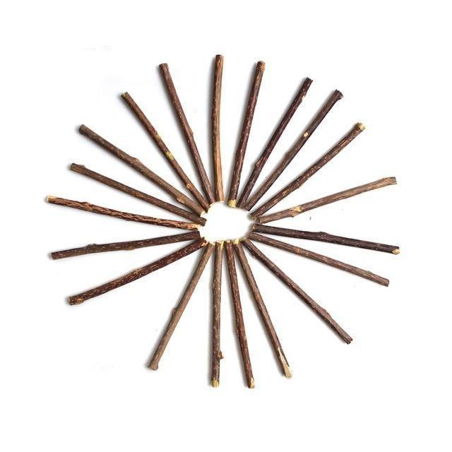 עשרים מקלות לעיסה בטעם מנטה לחתול - SiliCoverstore